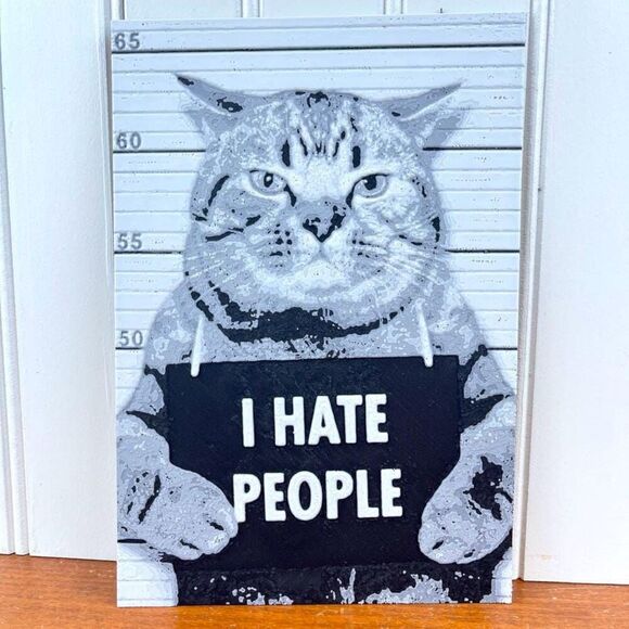 Wall Art, Funny Cat Mugshot, "I Hate People", Sassy Cat, Cat Attitude - Picture 1 of 10